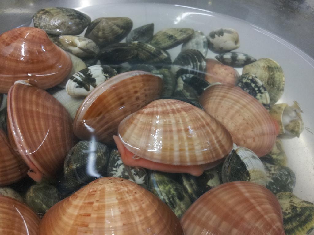 Porto Di Mare Acomodação com café da manhã Praia a Mare Exterior foto